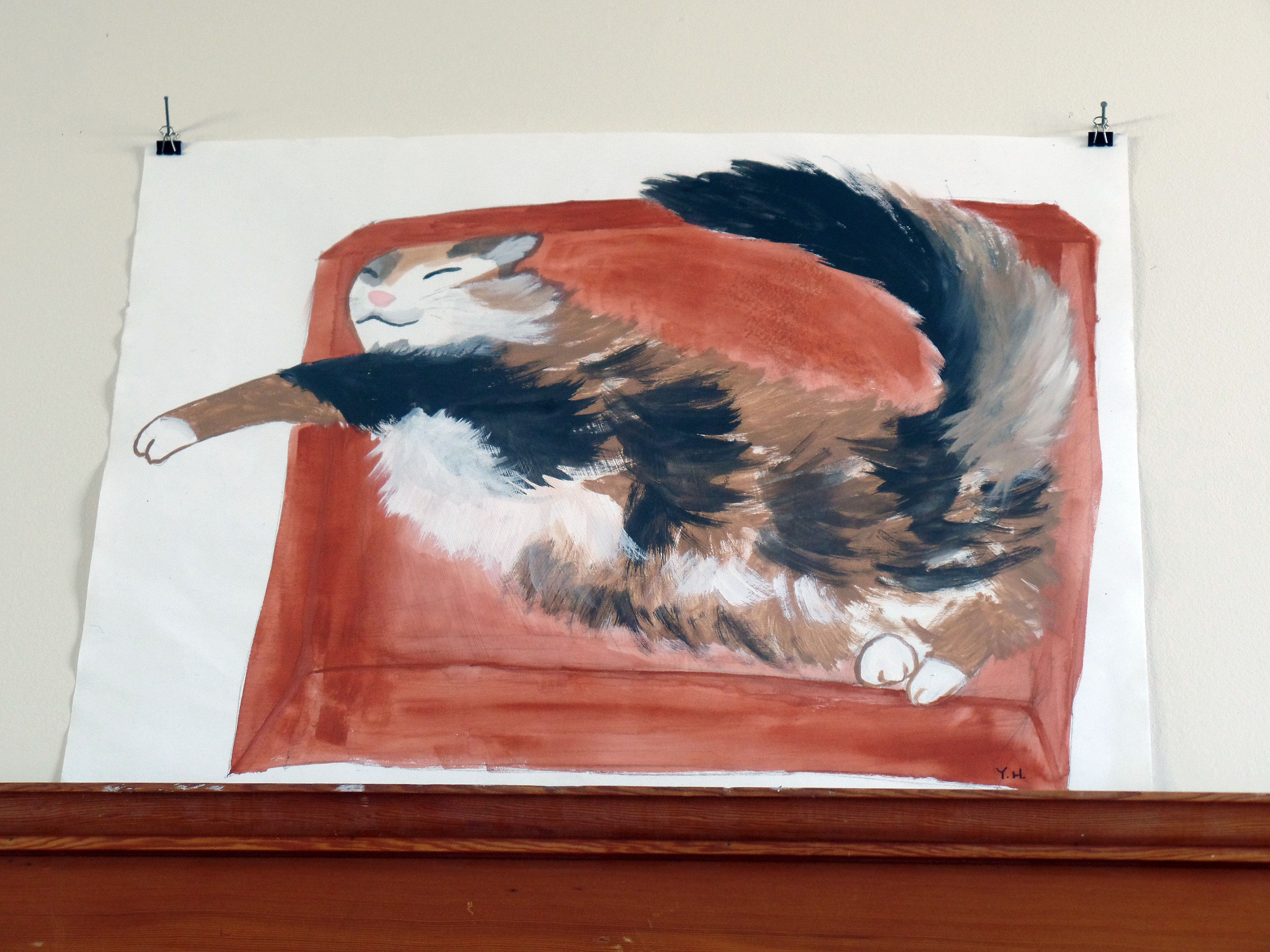 SAMSUNG CAMERA PICTURES