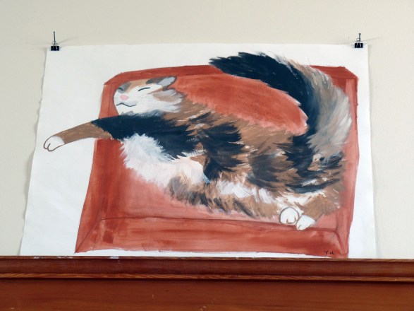 SAMSUNG CAMERA PICTURES