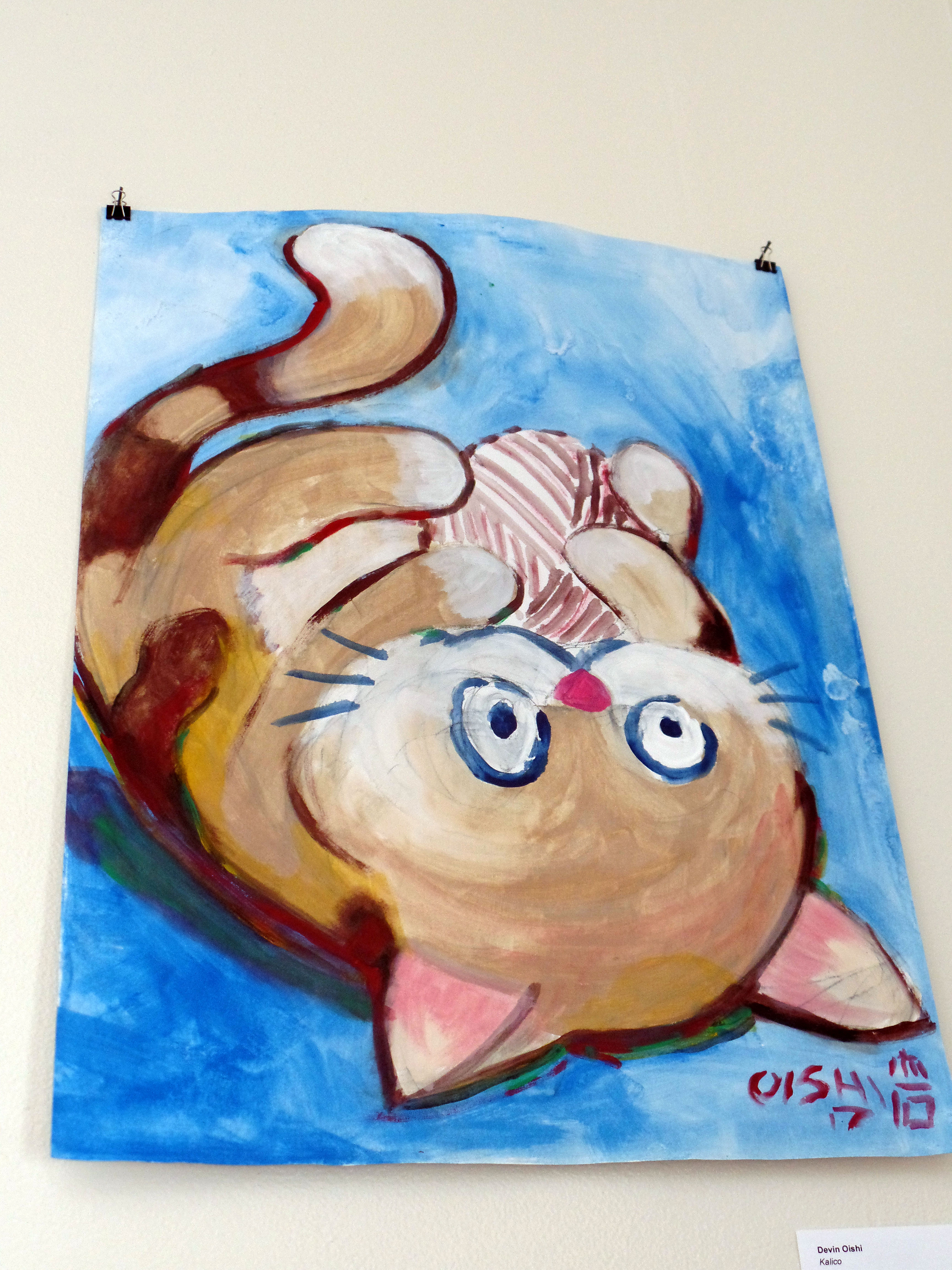 SAMSUNG CAMERA PICTURES